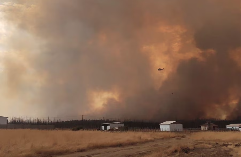 Decretan Alerta Roja por incendio forestal en Pitrufquén y Angol