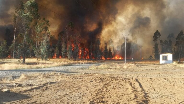 Falleció adulto mayor que resultó herido en el incendio forestal en Pitrufquén