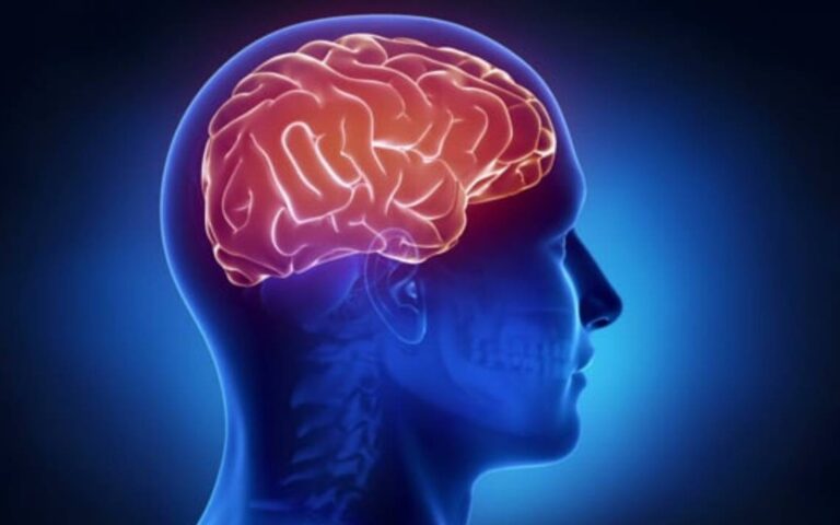 ¿Qué pasa con nuestra mente al momento de morir? Esto dice la ciencia