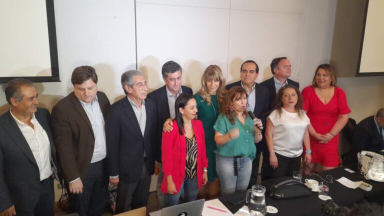 Demócratas descarta pacto electoral para las elecciones de consejeros constituyentes