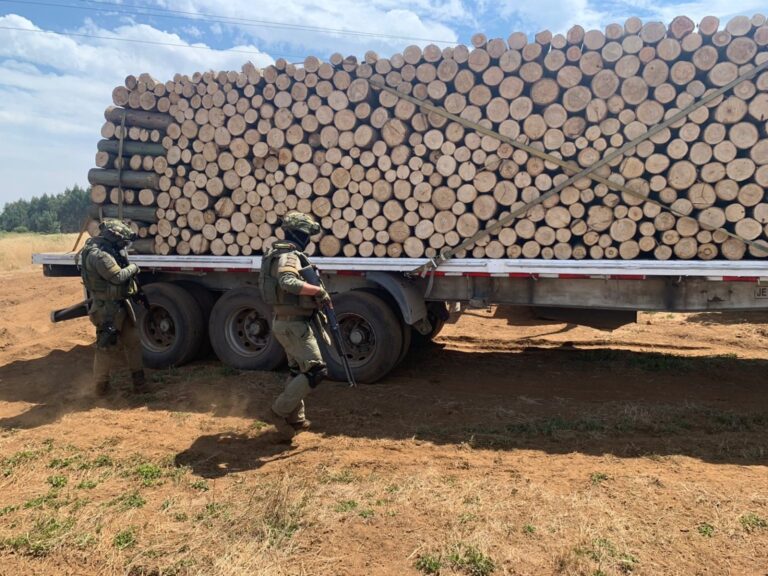 Tres sujetos fueron detenidos por el delito de sustracción de madera en Ercilla