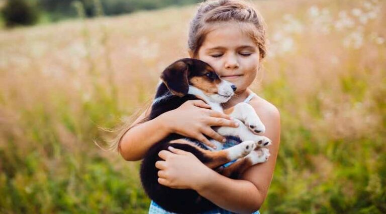 Jornada de adopción de cachorros se realizará este sábado en Patio Outlet de Temuco