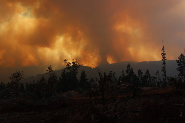 La región se mantiene bajo Alerta Roja, Conaf contabiliza 38 incendios en combate