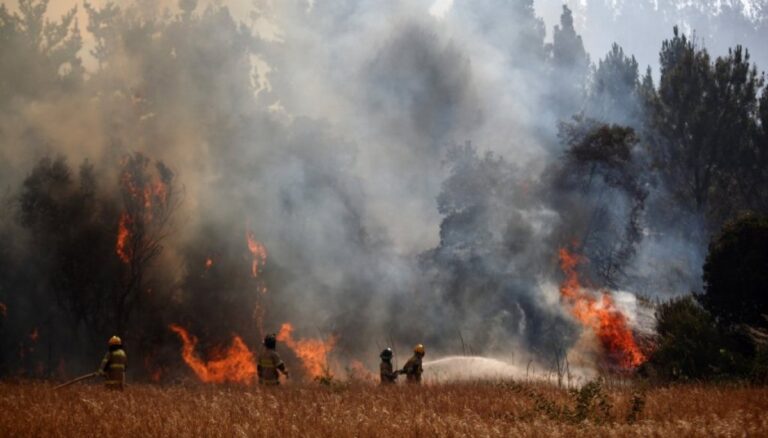 La región se mantiene bajo una Alerta Roja y hasta la fecha se han consumido 758 hectáreas de vegetación