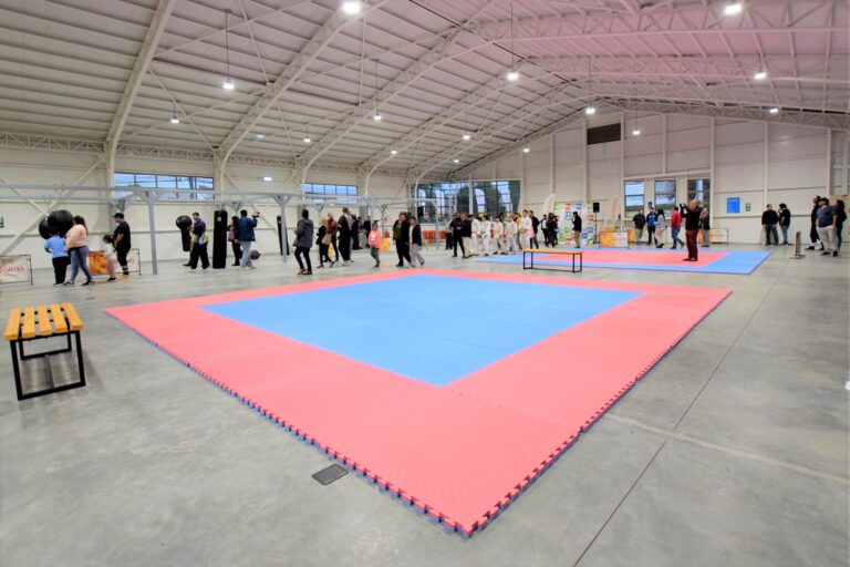 Temuco tendrá nuevo centro deportivo de contacto