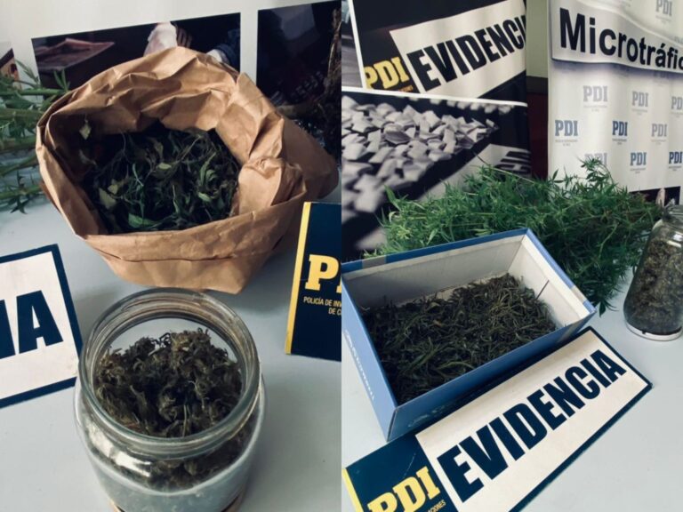PDI Victoria detiene a hombre por microtráfico de cannabis sativa