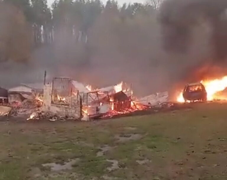 Queman tres casas, un vehículo y golpean a parceleros en Malleco