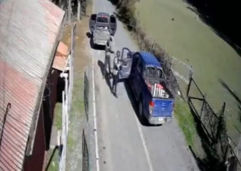 Intimidaron a agricultor y le robaron su camioneta en la comuna de Purén