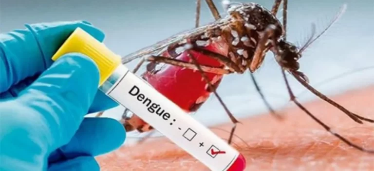 Alerta en 7 regiones de Chile por crisis de dengue en Perú