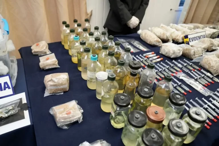 Fiscalía y la PDI incautan más de 60 kilos de hongos alucinógenos en San Carlos