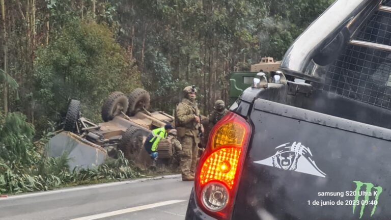 Animales en la ruta provocaron el volcamiento de un vehículo policial
