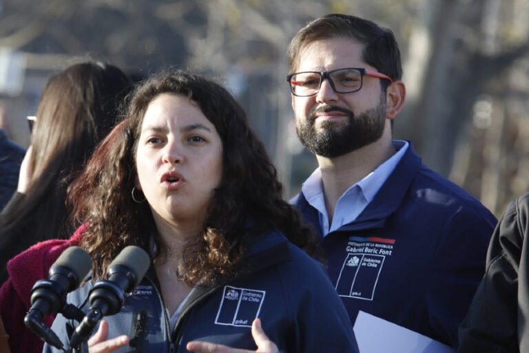 Ministra de Bienes Nacionales, Javiera Toro, fue designada por el Ejecutivo como encargada de la reconstrucción por el sistema frontal