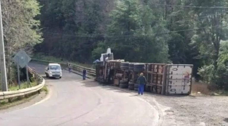 Por falla en el sistema de frenos se volcó camión en Curacautín