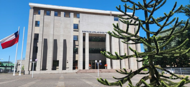 Acogen recurso de Amparo a favor de Martín Pradenas