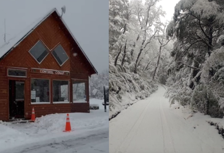 Conaf advierte sobre condiciones climáticas en parques de Malleco