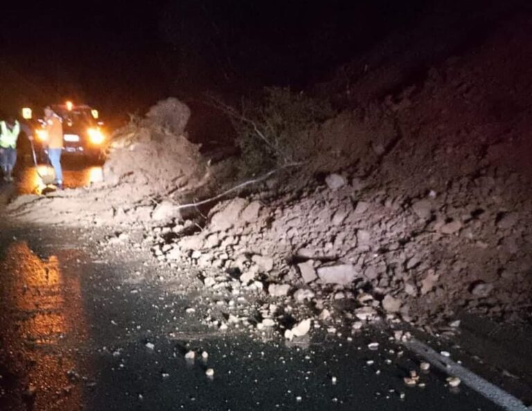 Caídas de árboles y deslizamientos: Llaman a estar alerta en Lumaco