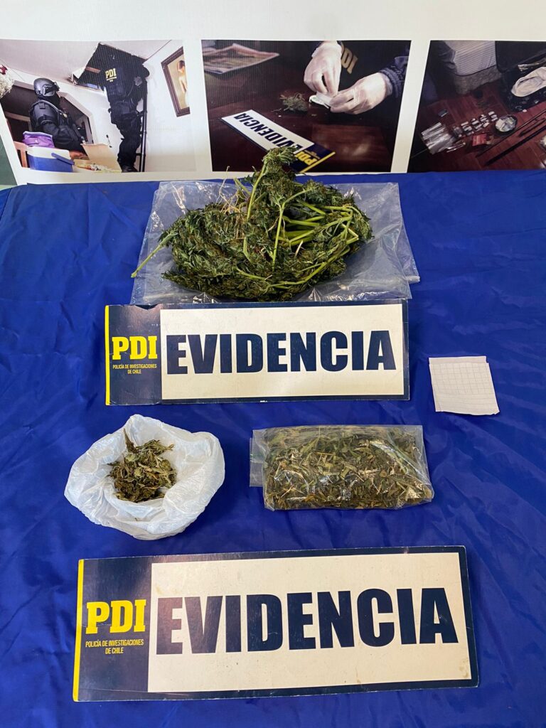 Dos microtraficantes capturados en Lonquimay