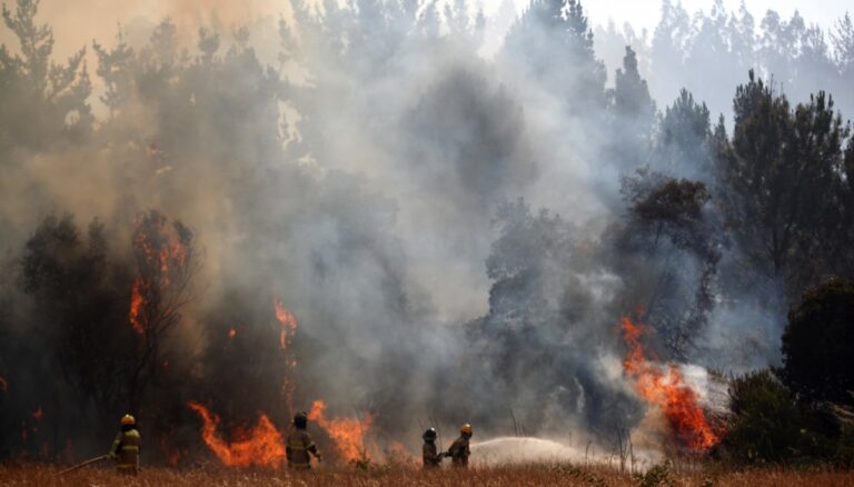 Incendios forestales en La Araucanía han consumido más de 100 hectáreas