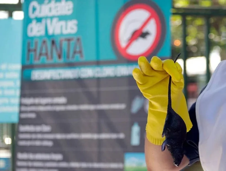 Confirman el primer caso de Hantavirus del año en La Araucanía