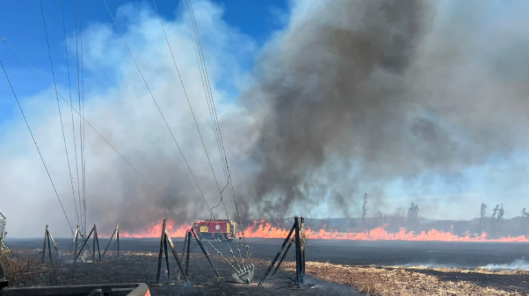 Alcalde de Galvarino solicita decretar toque de queda por incendios forestales