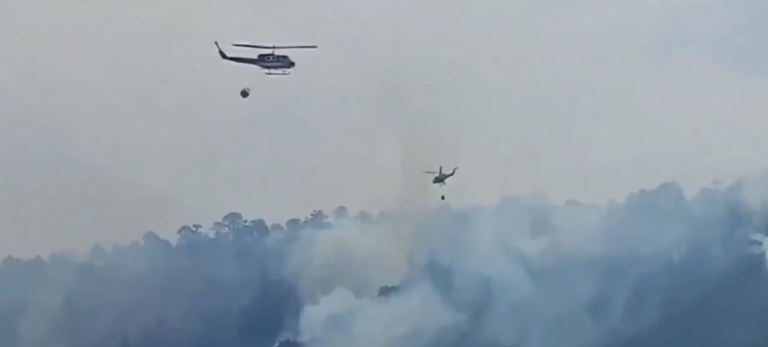 Alerta Roja: Incendio forestal en Lonquimay fue declarado fuera de control