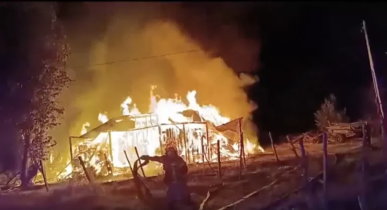 Agricultor denuncia nuevo atentado en sector rural en Purén