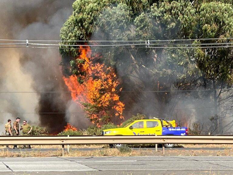 Incendio en fábrica de tinajas en Lautaro preocupa a la comunidad y comerciantes