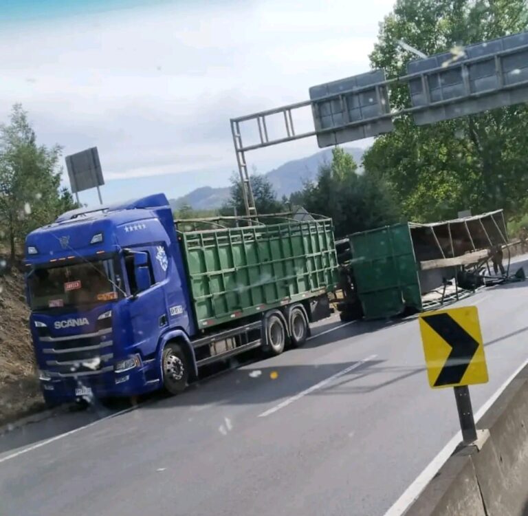 Camión cargado con vacunos se volcó cerca del puente Malleco