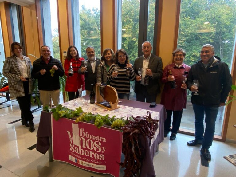 Totalmente gratis será la primera muestra de vinos y sabores de Malleco