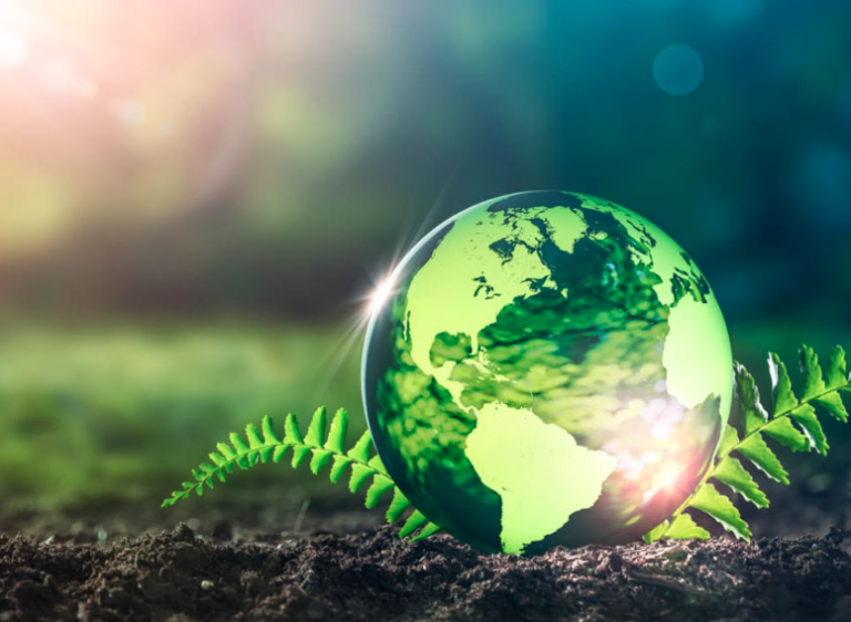 5 de junio: Día Mundial del Medio Ambiente