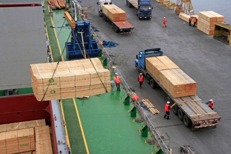 INE: En un 23,3% aumentaron las exportaciones de la Región de La Araucanía