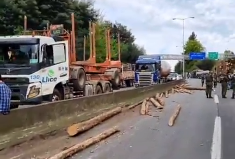 Carga de madera se volcó e impactó contra dos vehículos menores en el viaducto Malleco