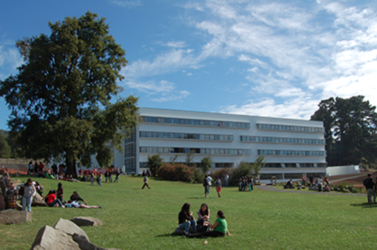 Universidades de La Araucanía destacan en nuevo fondo estatal para investigación
