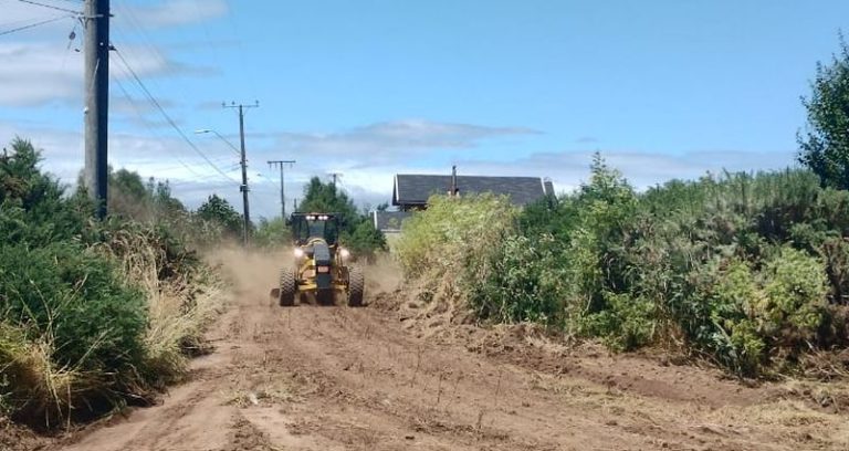 Municipio de Cholchol ha realizado a la fecha 30 mil metros de cortafuegos para prevenir incendios forestales