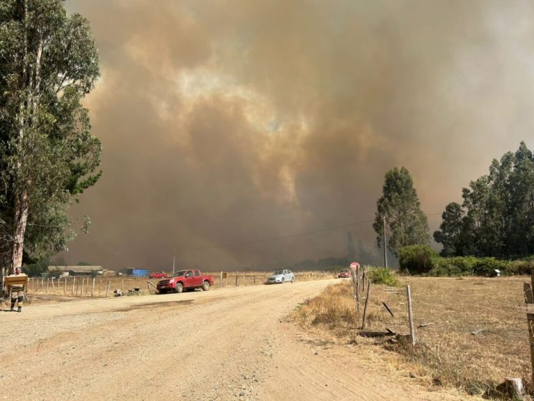 Cholchol: incendio forestal deja cuatro casas destruidas y más de 250 hectáreas afectadas