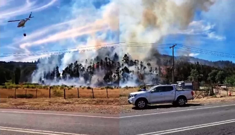 Tribunal decretó internación provisional para sospechosa de incendio en Los Sauces