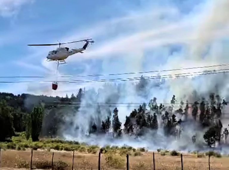 Tres brigadistas fallecen en incendio en Los Sauces
