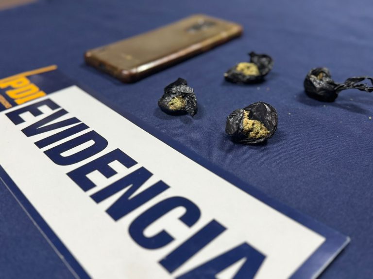 Operativo de la PDI terminó con tres detenidos por microtráfico de droga