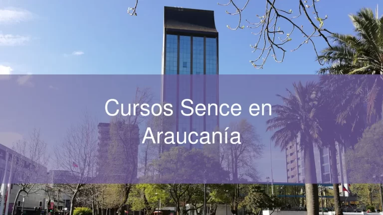 Sence abre cursos de capacitación en oficios para 11 comunas de La Araucanía