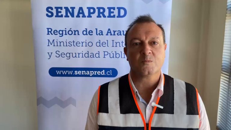 Renuncia director de Senapred en La Araucanía en medio de la emergencia por incendios forestales