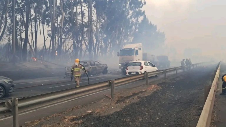 Murió brigadista en pleno combate de incendio en Pailahueque