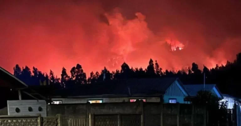 Decretan alerta roja en La Araucanía por incendios forestales