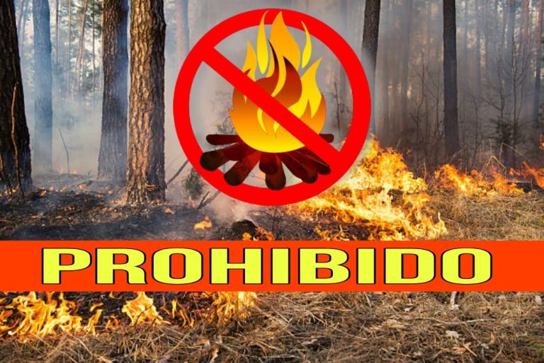 Conaf prohibió quemas agrícolas para La Araucanía