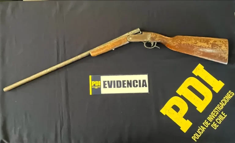 PDI Angol recupera dos escopetas en operativo por infracción a la ley de armas