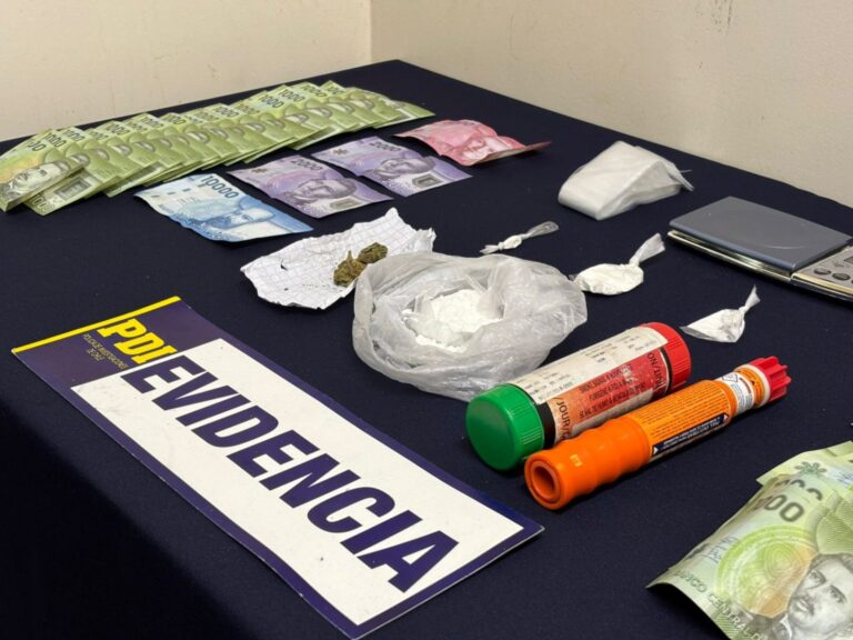 Vilcún y Pucón: PDI detiene un total de cuatro personas por microtráfico de drogas e infracción a la ley de armas