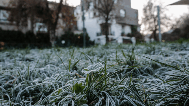 Inicio de semana tendrá temperaturas heladas en La Araucanía
