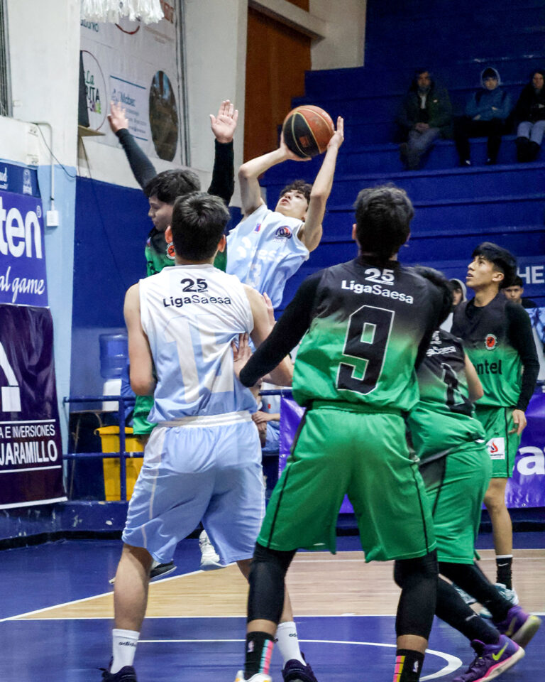 Comienzan los playoffs de La Liga Saesa en su 25° aniversario