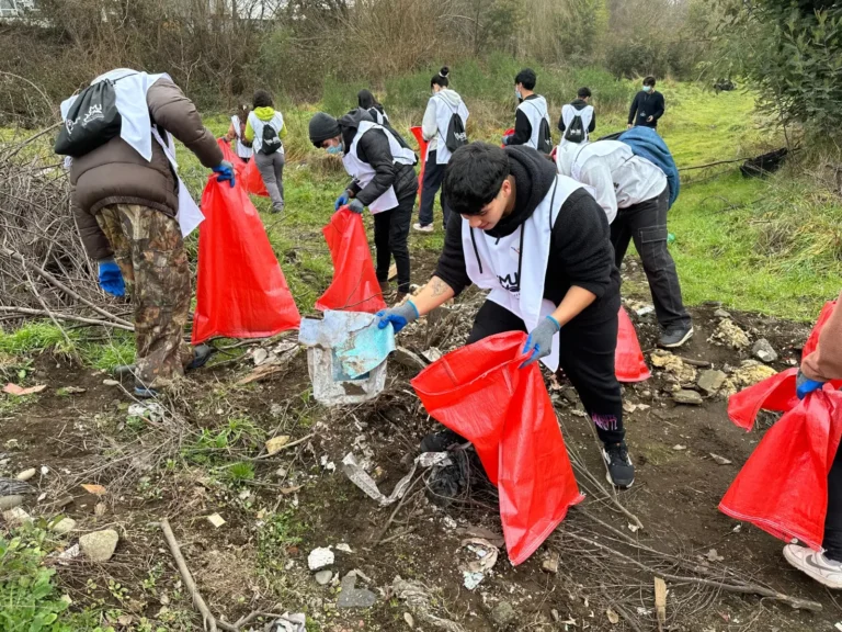 Más de 100 voluntarios y la Municipalidad de Temuco, llevó a cabo un exitoso mega operativo de limpieza en el Humedal Antumalén