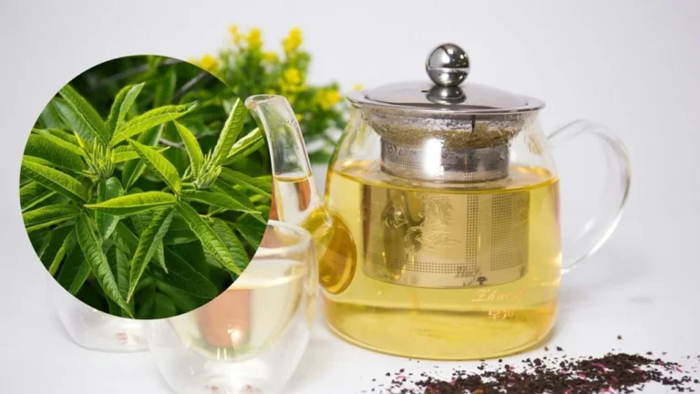 Los beneficios del té de cedrón: ayuda a la digestión y alivia el estrés